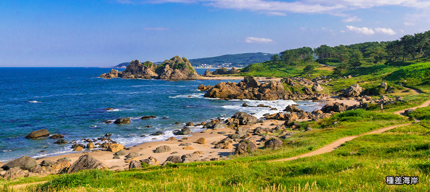 種差海岸